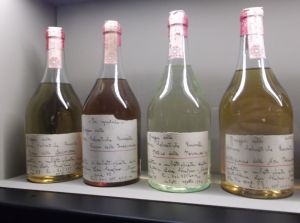 Inaugurazione mostra a Barolo