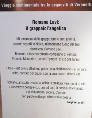 Viaggio sentimentale tra le acqueviti di Veronelli